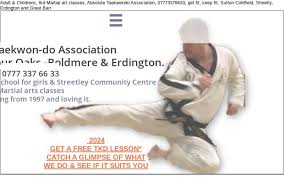 Image result for Absolute tae kwon do association