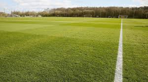 Image result for Pitch marking blog