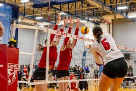 Image result for York University Gymnastics Club