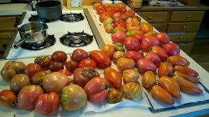 Afbeeldingsresultaat voor earl faux tomato