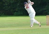 Image result for Redlynch and Hale Cricket Club