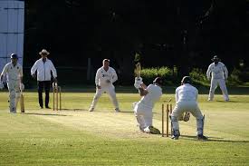 Image result for Henfield Cricket Club