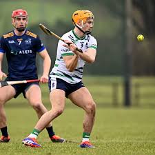 Image result for University Of Limerick Gaa Hurling Club