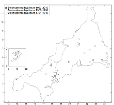Attēlu rezultāti vaicājumam “Jungermannia hyalina”
