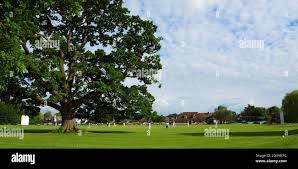 Image result for Ickwell Cricket Club
