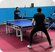 Image result for Dml Woolwell Table Tennis Club
