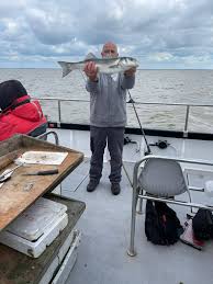 Image result for Braintree Sea Angling Club