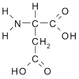 D-<b>Aspartic Acid</b> (or