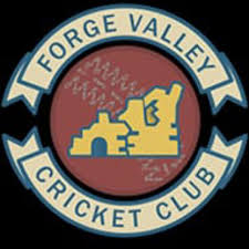 Image result for Hornsea Cricket Club