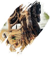 Image result for Frome Valley Archers