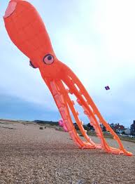Image result for Kent Kite Flyers Club