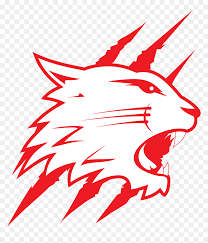 Image result for Swindon Panthers