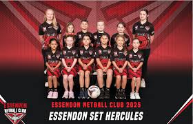 Image result for Elvington Ladies Netball Club