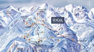 Image result for vogel