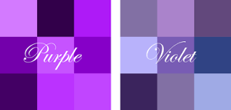 Image result for violet