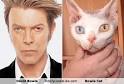 David Bowie Image david bowie | racecar spacecar Picture 6