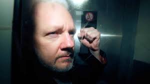 Image result for julian assange