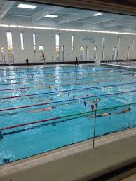 Image result for Thornaby Amateur Swimming Club