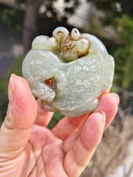 Αποτέλεσμα εικόνας για jade dragon turtle