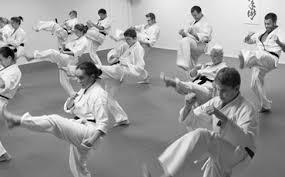 Image result for Yonju dojo shotokan karate club