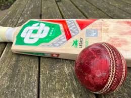 Image result for Hodnet & Peplow Cricket Club