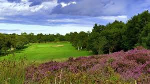 Image result for Ravensworth Golf Club Ltd