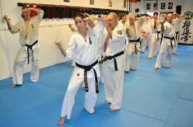 Image result for Kyokushin Karate