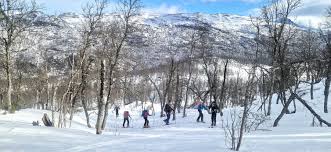 Image result for Tyneside Loipers