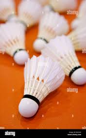 Image result for Shuttlecocks Badminton Club