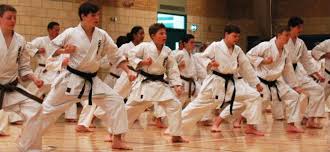 Image result for Seiki Juku Karate Club
