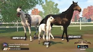 Image result for Thoroughbreds Netball Clubs