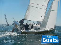 Image result for Pogo minitransat