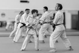 Image result for Sho Shin Kan Aikido Club