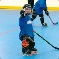 Image result for Pontypool Skater Hockey Club
