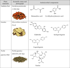 Attēlu rezultāti vaicājumam “Torilis japonica fruit”