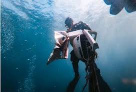Image result for TAL Divers