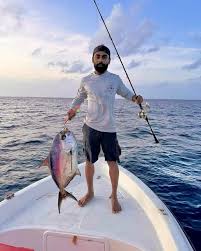 Image result for Eumegistus illustris