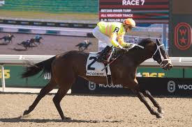 Resultado de imagen para sliced horse