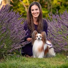 Image result for papillon