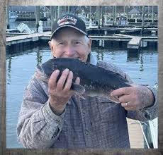 Image result for Centropristis striata