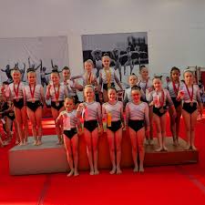Image result for City Of Newcastle Gymnastics Academy