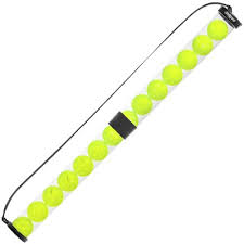 Image result for Gosport Pickleball Club