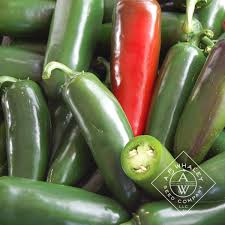 Afbeeldingsresultaat voor jalapeno early hot pepper