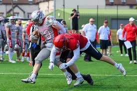Image result for Edinburgh Wolves