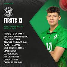 Image result for Ammanford Cricket Club