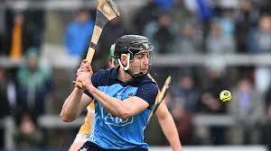 Image result for hurling