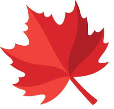 Image result for Sycamore Ttc