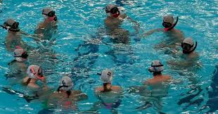 Image result for Jersey Octopush Club