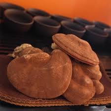 Attēlu rezultāti vaicājumam “Antrodia”