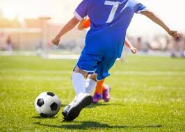 Image result for East Bergholt Badminton Club